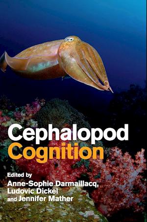 Cephalopod Cognition