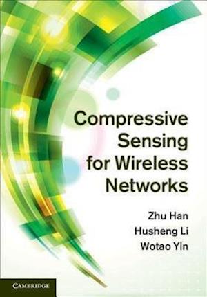 Compressive Sensing for Wireless Networks