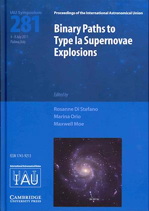 Binary Paths to Type Ia Supernovae Explosions (IAU S281)