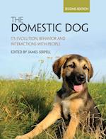 The Domestic Dog