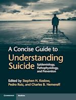 A Concise Guide to Understanding Suicide