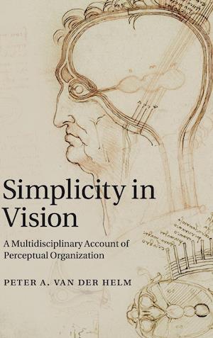 Simplicity in Vision