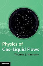Physics of Gas-Liquid Flows