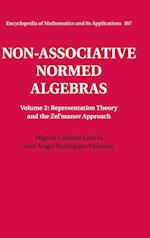 Non-Associative Normed Algebras
