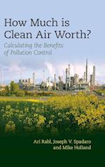 How Much Is Clean Air Worth?