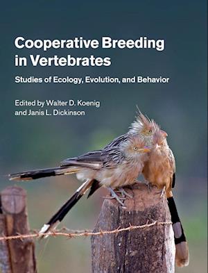 Cooperative Breeding in Vertebrates
