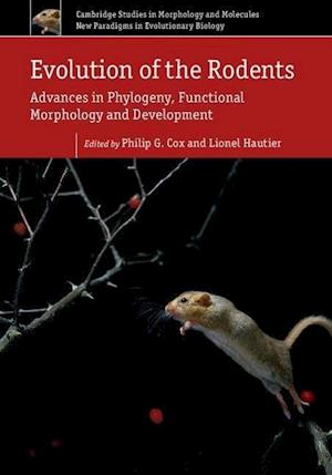 Evolution of the Rodents: Volume 5