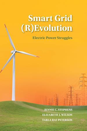 Smart Grid (R)Evolution