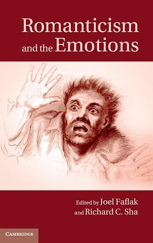 Romanticism and the Emotions