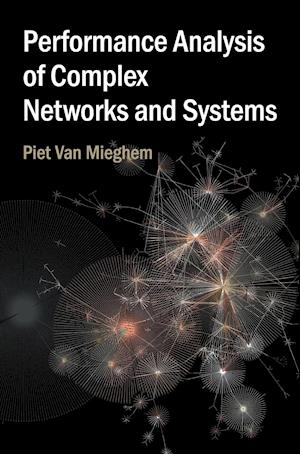 Performance Analysis of Complex Networks and Systems