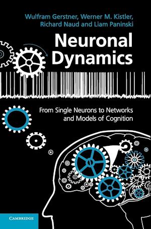 Neuronal Dynamics