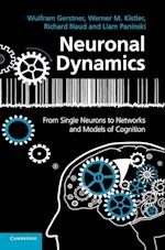 Neuronal Dynamics