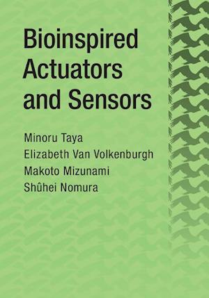 Bioinspired Actuators and Sensors