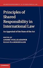 Principles of Shared Responsibility in International Law