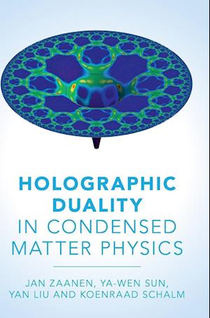 Holographic Duality in Condensed Matter Physics