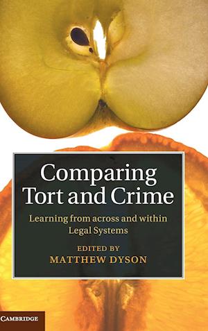 Comparing Tort and Crime