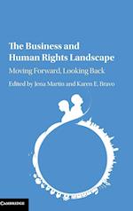 The Business and Human Rights Landscape