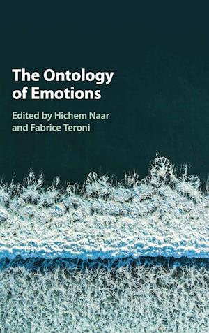 The Ontology of Emotions