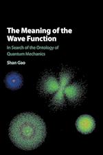 The Meaning of the Wave Function