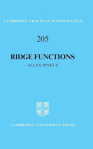 Ridge Functions