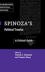 Spinoza's Political Treatise