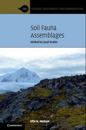 Soil Fauna Assemblages