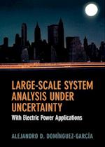 Large-Scale System Analysis Under Uncertainty