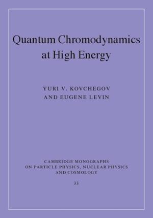 Quantum Chromodynamics at High Energy