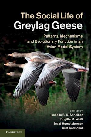 Social Life of Greylag Geese