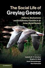 Social Life of Greylag Geese