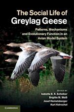 Social Life of Greylag Geese