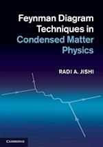 Feynman Diagram Techniques in Condensed Matter Physics