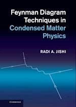 Feynman Diagram Techniques in Condensed Matter Physics