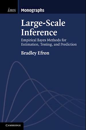 Large-Scale Inference