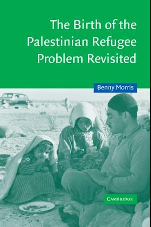 Birth of the Palestinian Refugee Problem Revisited