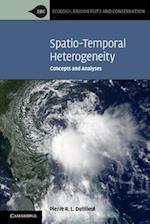 Spatio-Temporal Heterogeneity