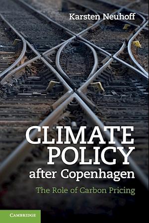 Climate Policy after Copenhagen