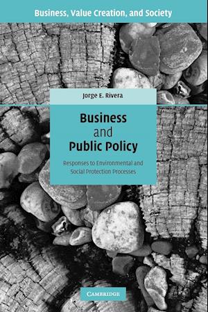 Business and Public Policy