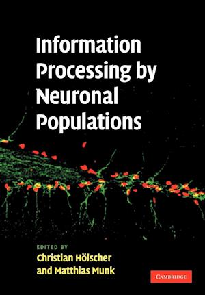 Information Processing by Neuronal Populations