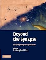 Beyond the Synapse