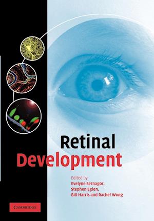 Retinal Development