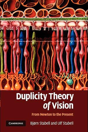 Duplicity Theory of Vision