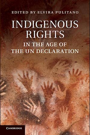 Indigenous Rights in the Age of the Un Declaration