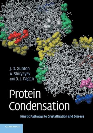 Protein Condensation