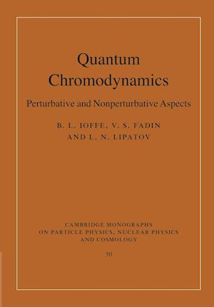 Quantum Chromodynamics