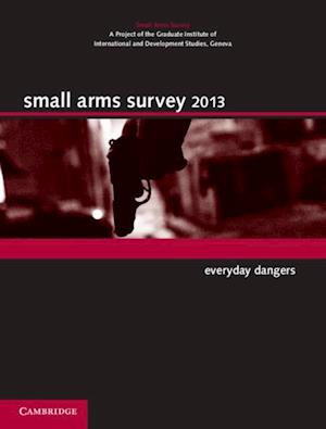 Small Arms Survey 2013