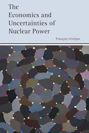 The Economics and Uncertainties of Nuclear Power