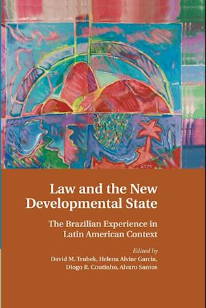 Law and the New Developmental State