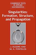 Singularities: Formation, Structure, and Propagation