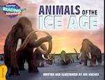 Cambridge Reading Adventures Animals of the Ice Age Gold Band